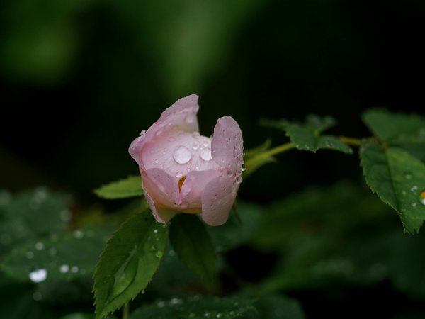 Idées innovantes pour créer votre habitat sur mesure : guide pratique